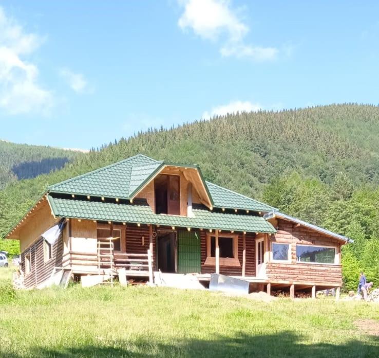 a log cabin with a green roof in a field at Cabana Valea Lui Bogdan in Coada Izvorului