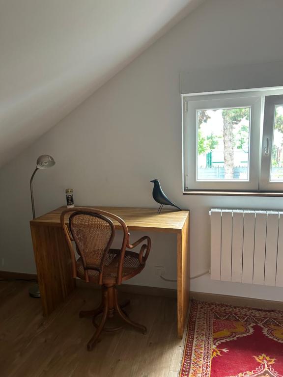 Le Cabanon – photo 19