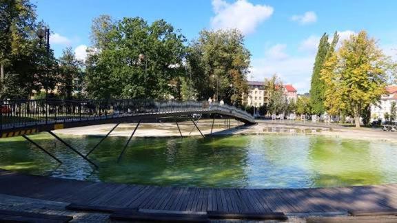 Kolam renang di atau dekat dengan Kawalerki Mazurski Zdroj