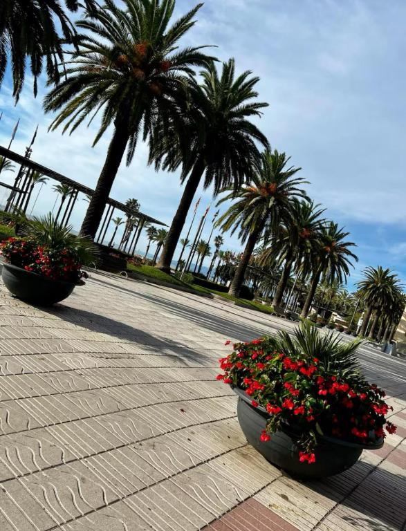 two planters with red flowers on a sidewalk with palm trees at Apartman Leoni 1 linea in Salou