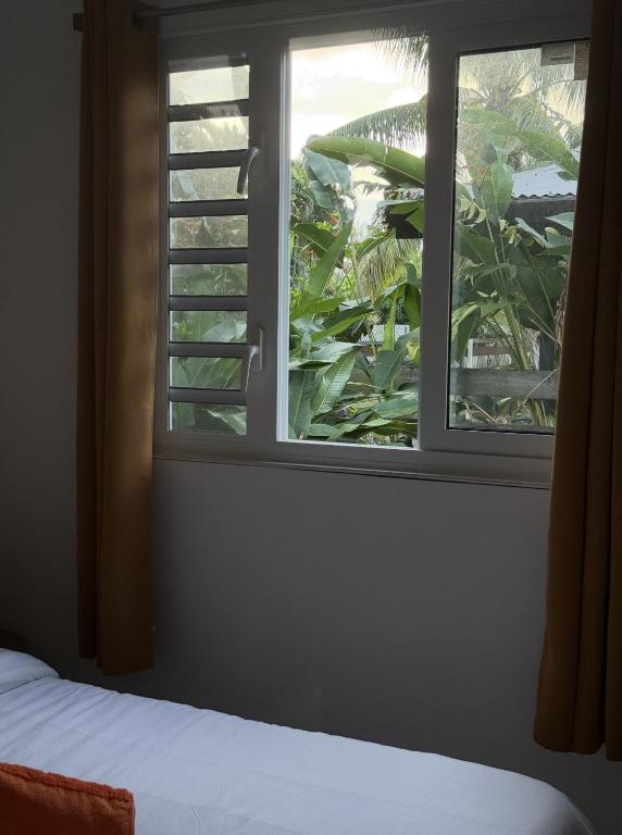 Fare Hoa Moorea - photo 6 - Moorea, Polynésie