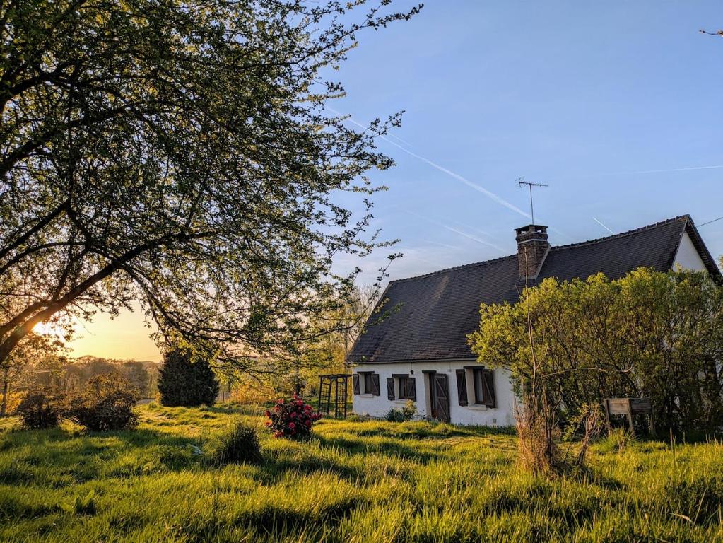 a white house with a black roof in a field at Charmante longère percheronne avec cheminée, jacuzzi et verger in Charbonnières