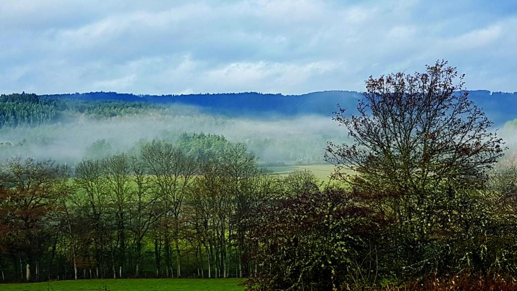 un campo de niebla con árboles y montañas al fondo en Chateau de Riols, en Marsac-en-Livradois