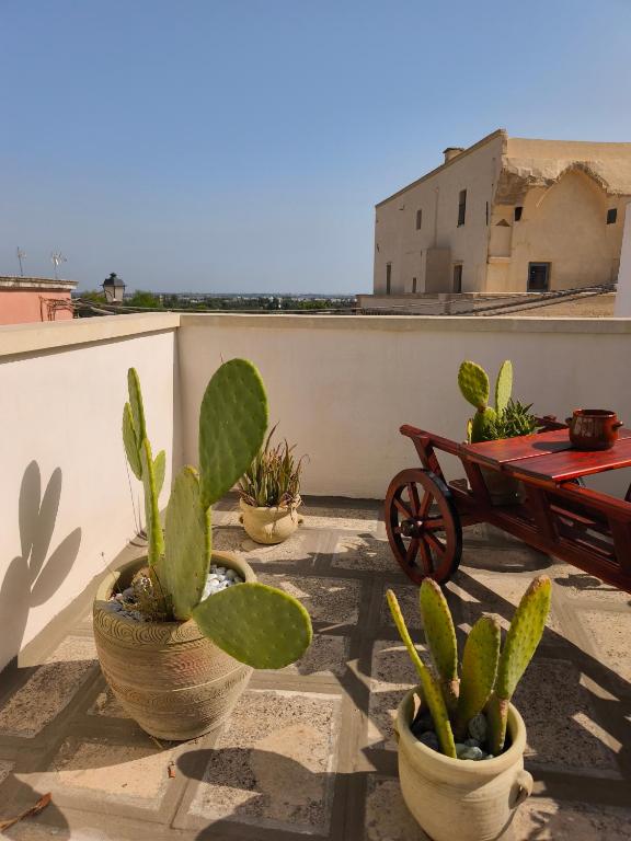 a patio with cactuses and a cart on a roof at Salento Corte 900 Neviano in Neviano