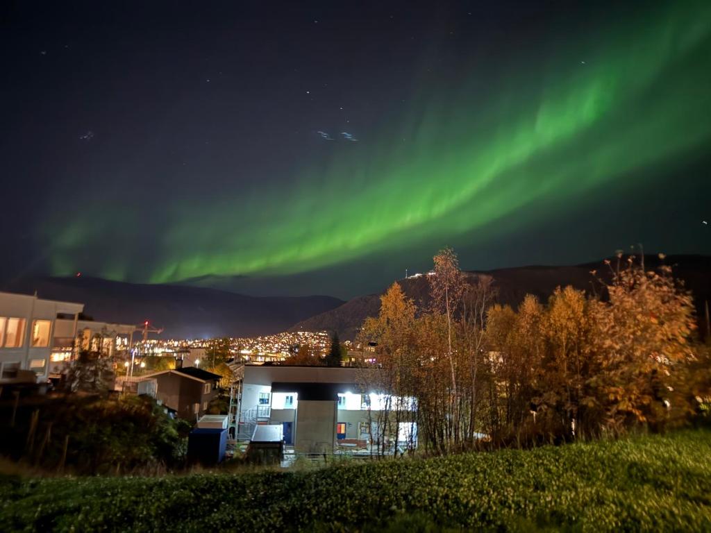 an image of the aurora dancing in the sky at Cozy Aurora View Apartments - Entire 3-Bedroom Fully Furnished Near City Centre in Tromsø