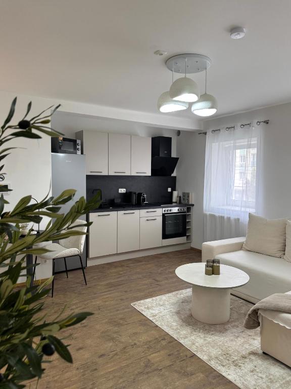 リンツにあるLivvalu Apartmentsのソファとテーブルのあるリビングルーム
