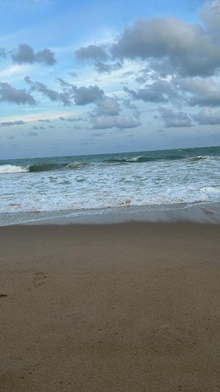 Naturlandskabet i nærheden af lejligheden