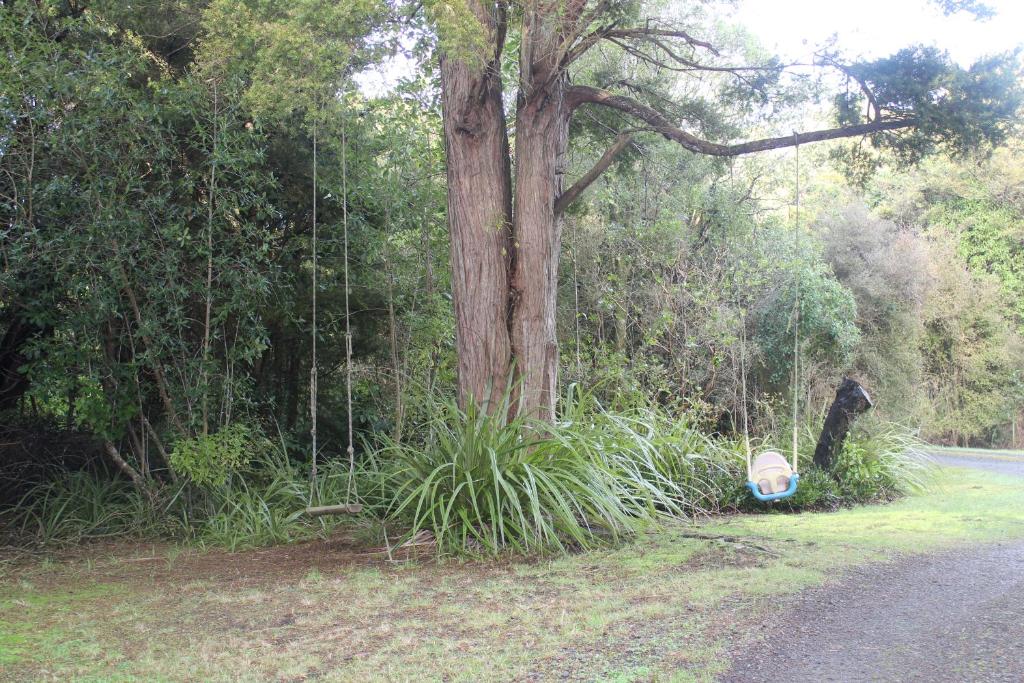 Tui Hideaway - Resim 14