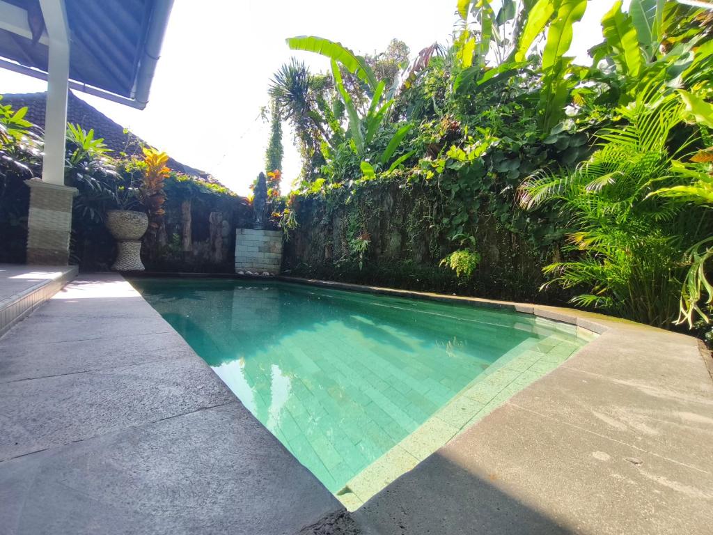 a swimming pool in the middle of a yard at Cozy two bed room with swiming pool in Ubud