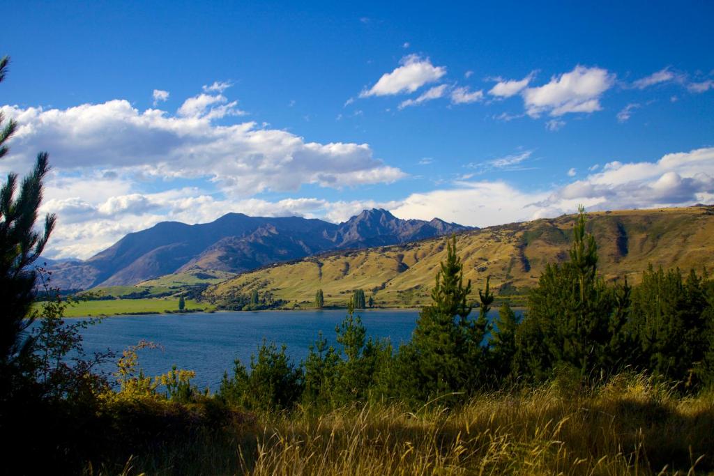 Mt Gold Glamping - Resim 24