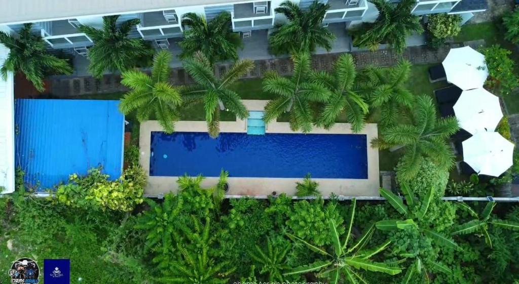 an overhead view of a building with a swimming pool and palm trees at Sapphire Boutique Resort in Panglao Island