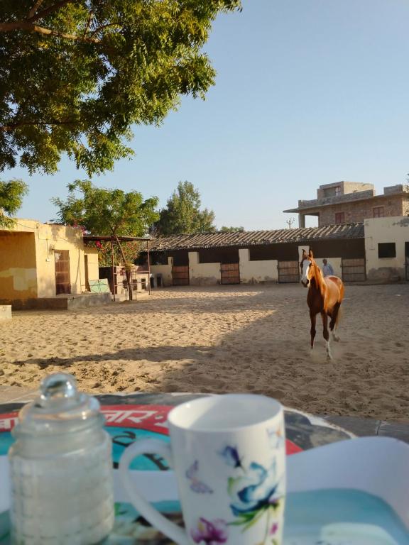 a horse walking in the sand near a table with a cup at Rawla Anand Rohet in Rohat
