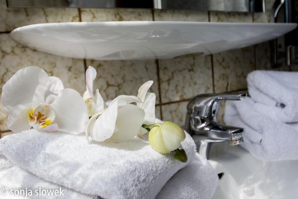 Hotel Avenue Altenfurt - Resim 7