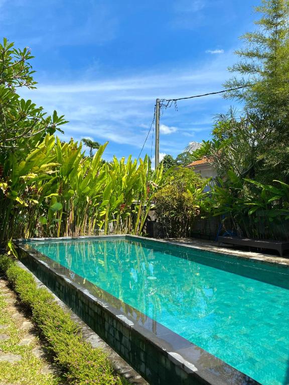 een zwembad voor een villa bij SoulStar in Ubud
