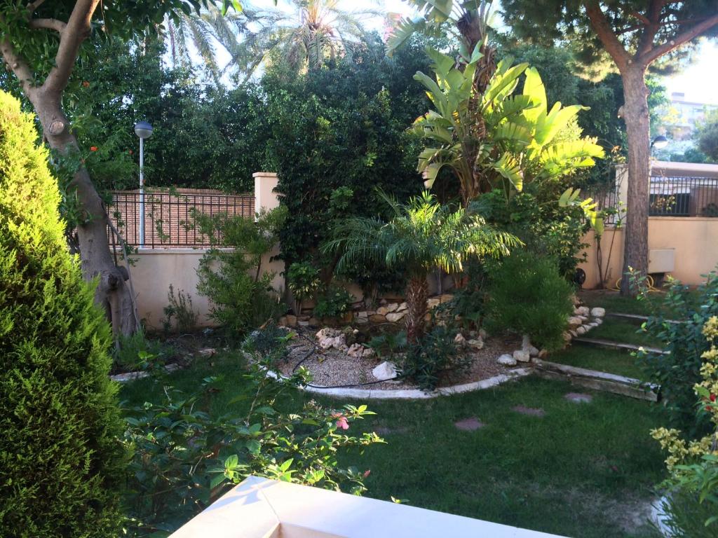 A garden outside Canaima Alicante