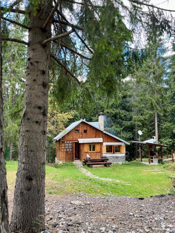 a wooden cabin in the middle of a forest at Вила Рози, Семково in Belitsa