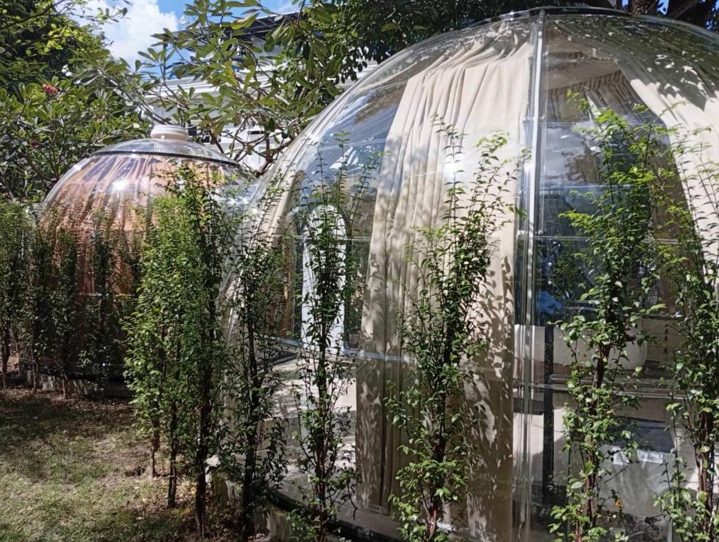V20 Boutique Jacuzzi Hotel - Suite Junior Avec Vue Sur Jardin