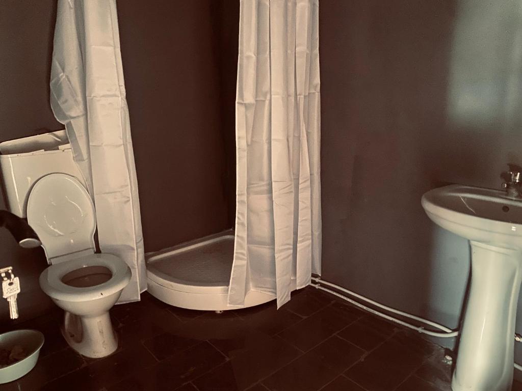 ColeştiにあるPanorama Lupilorのトイレと洗面台付きのバスルーム