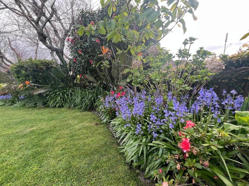 Sunny Matua, Private Suite, Quiet Stay, 5star Bed - Resim 9