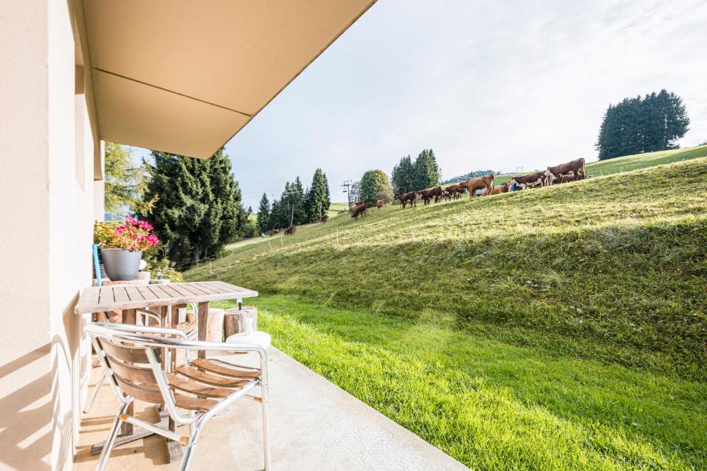 Κήπος έξω από το Studio 2 - L'Edelweiss