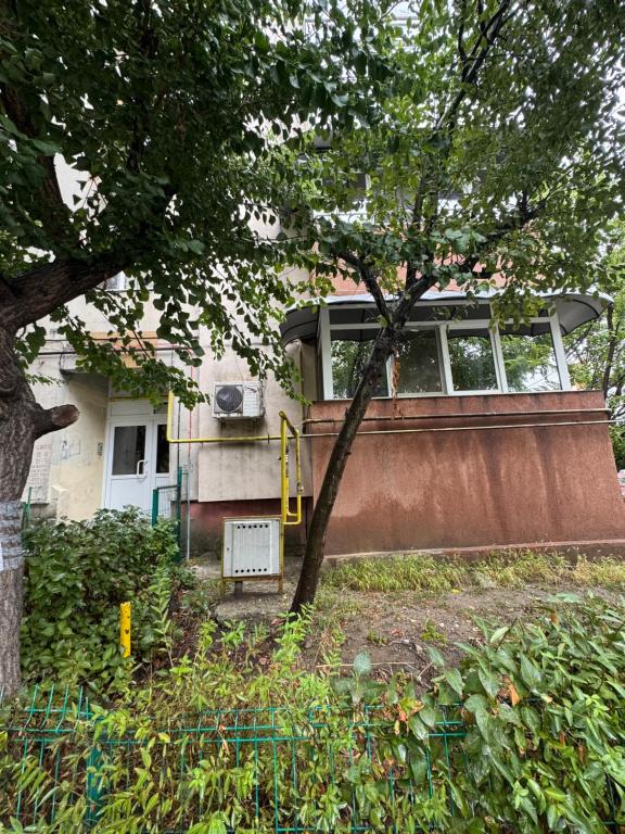 a house with a tree in front of it at 2 rooms apartment Craiova-Craiovita Noua in Craiova