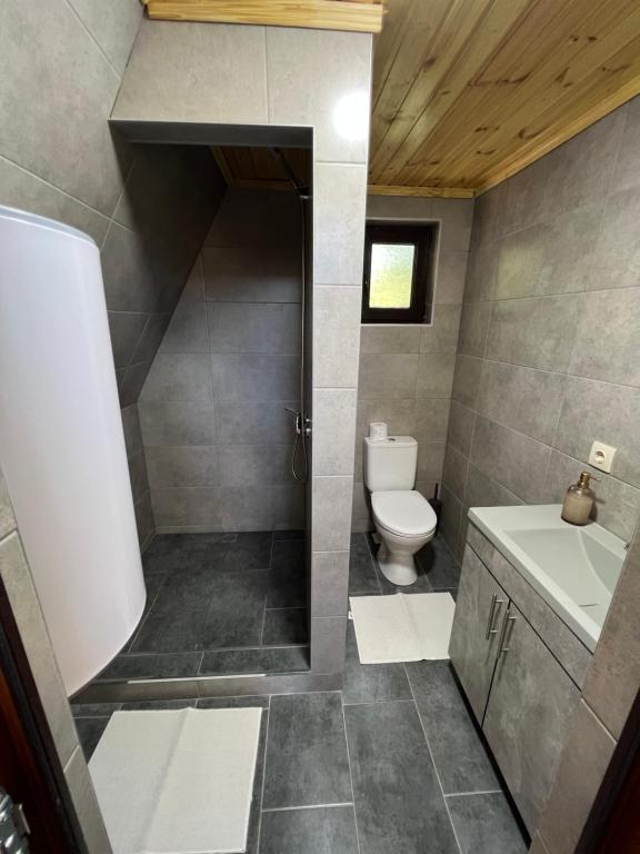a bathroom with a toilet and a sink at Pensiunea La Iepurasi in Lunga