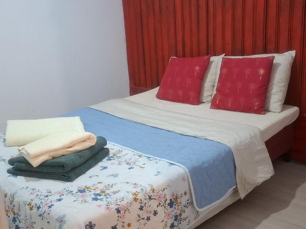 a bedroom with two beds with red pillows at Casa de vacanță cu 4 camere Varlaam in Varlaam