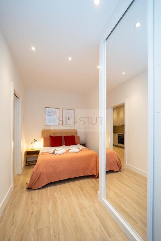 a bedroom with a bed and a large mirror at Numavante By Silastur in Gijón