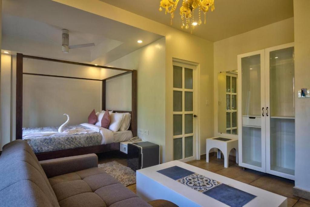 a living room with a couch and a bed at Pajaros Blu in Calangute