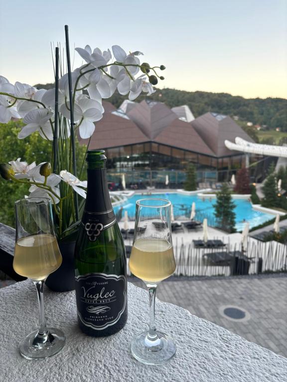 a bottle of wine and two glasses on a table at Apartman O Terme Olimia in Ravne na Koroškem