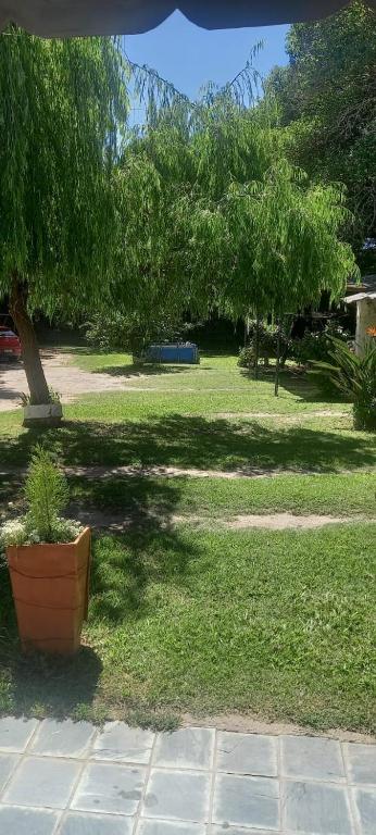 a park with trees and a pot in the grass at BERIMI Hospedaje familiar in Cerrillos