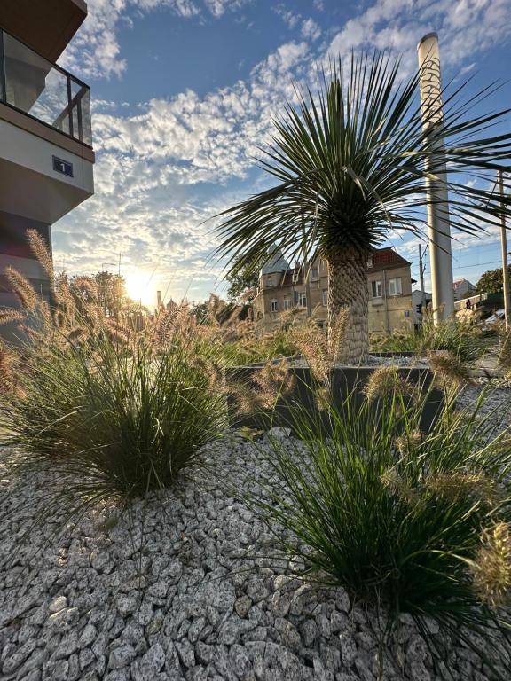 Κήπος έξω από το Apartment Plaża 41 by the sea
