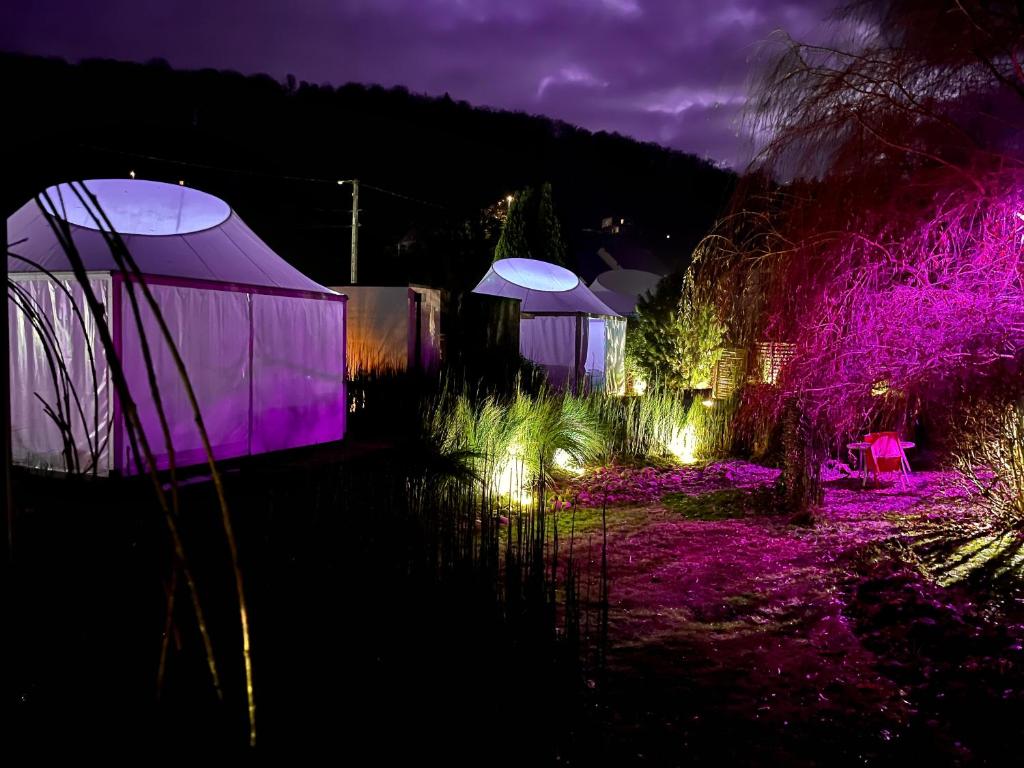 a garden lit up at night with purple lights at Lodge Silex Spa privatif à Meisenthal in Meisenthal