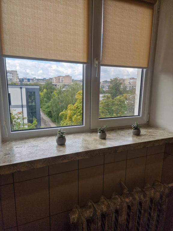 Apartament on Veteraniv, 19 StayRent Lutsk фото 6