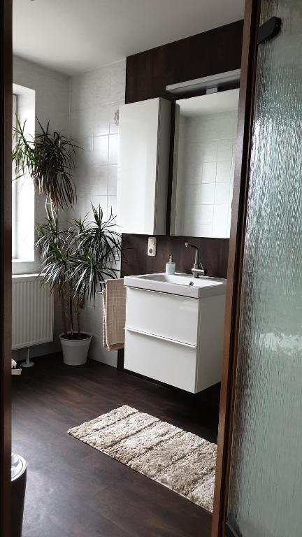 a bathroom with a sink and a mirror at BF-Living in Greppin