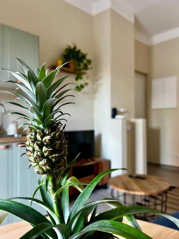 una planta de piña sentada en una mesa en una habitación en Tropical Cocoon in Monza, en Monza