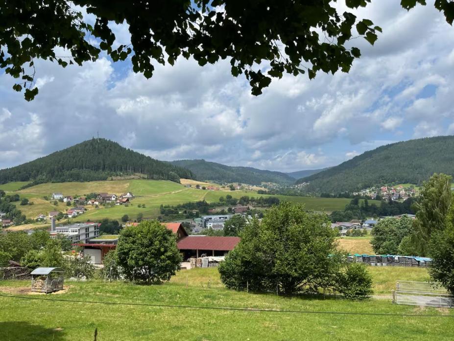 a small town in a valley with mountains at Waldblick-Appartement in Baiersbronn