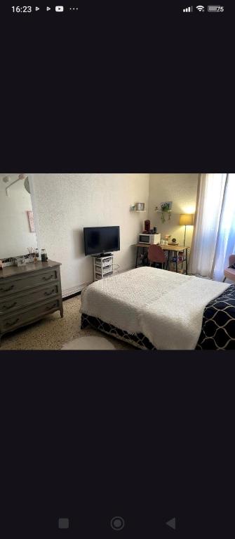 a bedroom with a bed and a flat screen tv at loue chambre chez l'habitant in Saint-Victoret