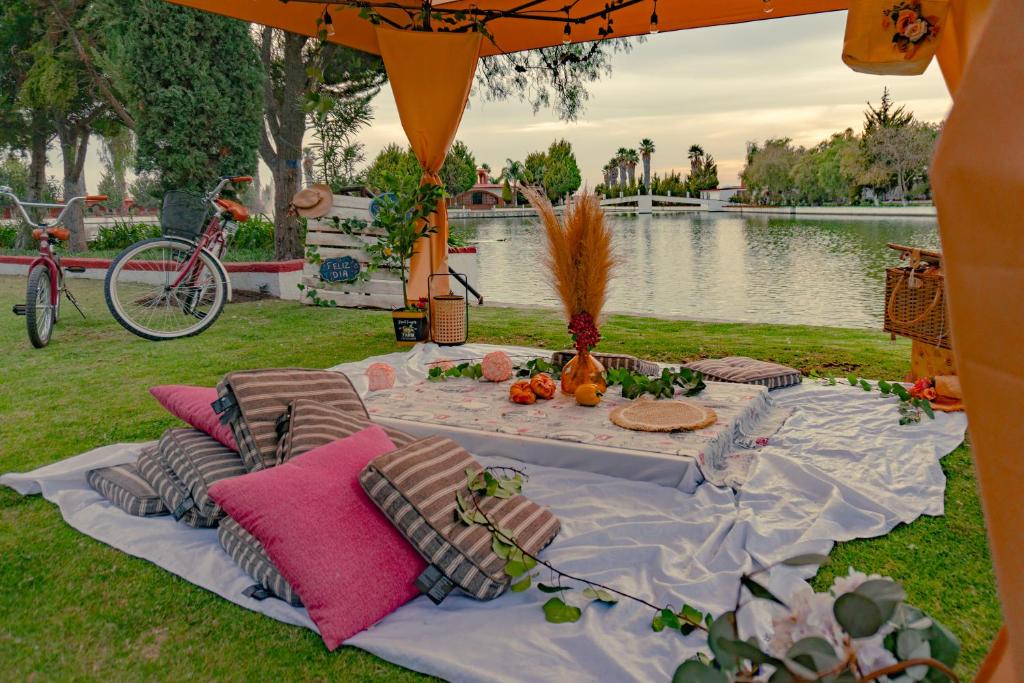 a picnic table with pillows and food on the grass at Hotel Oviedo Teotihuacán in San Martín de las Pirámides
