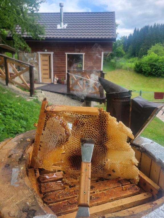 a hive of bees in front of a house at Забрус насолоди in Kosiv