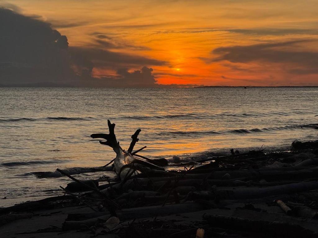 Donde Andres en la Playa