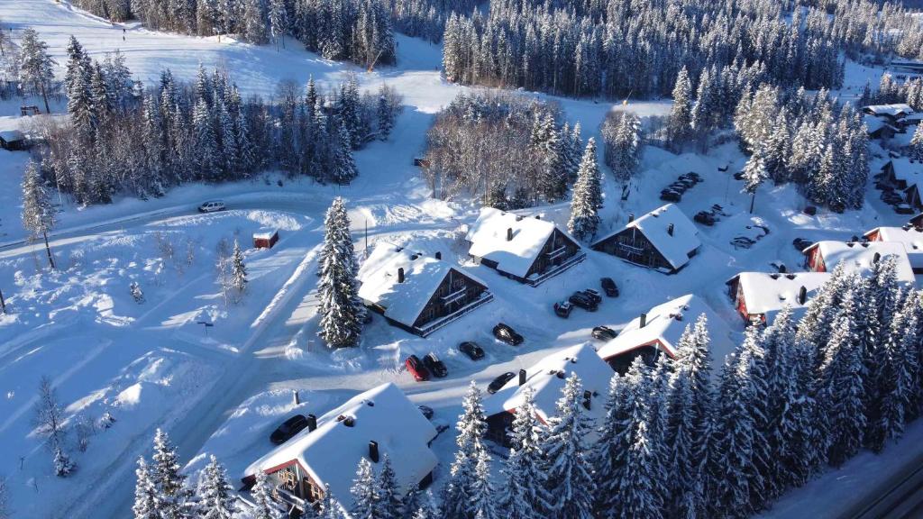 an aerial view of a village covered in snow at Bakkebyvegen 13A in Trysil