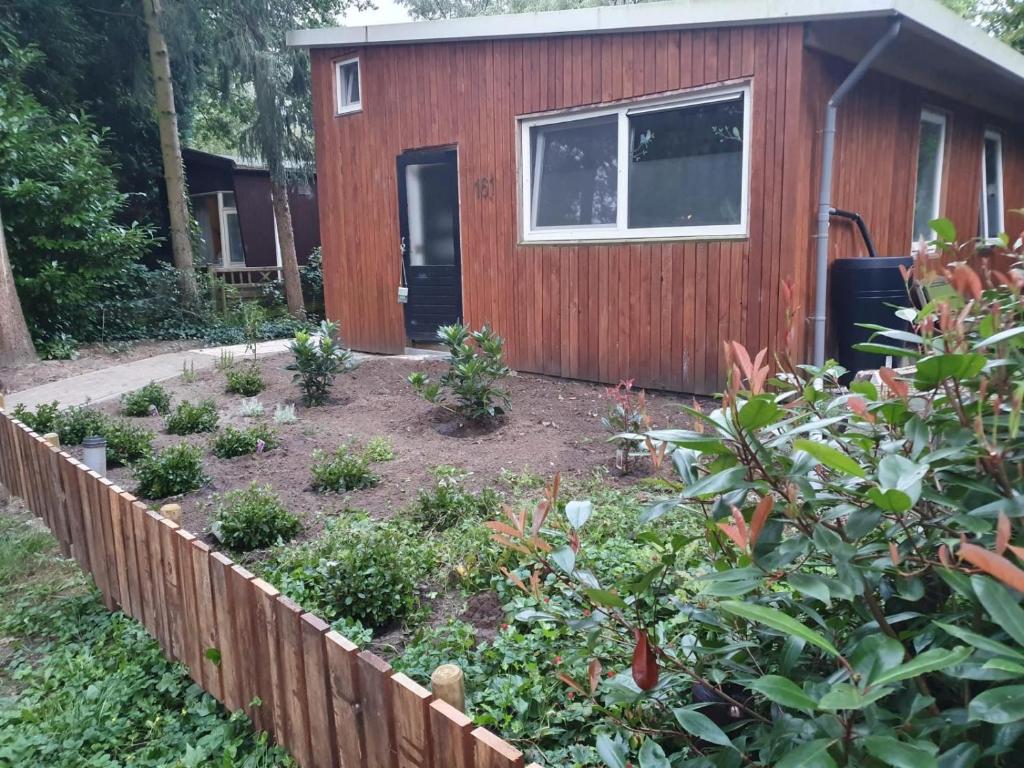 Κήπος έξω από το Chaletpark Kempenbos - 161