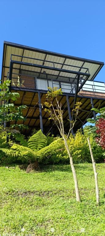 a building with a tree in the grass at Gampling el Cielo los pinos in Rionegro