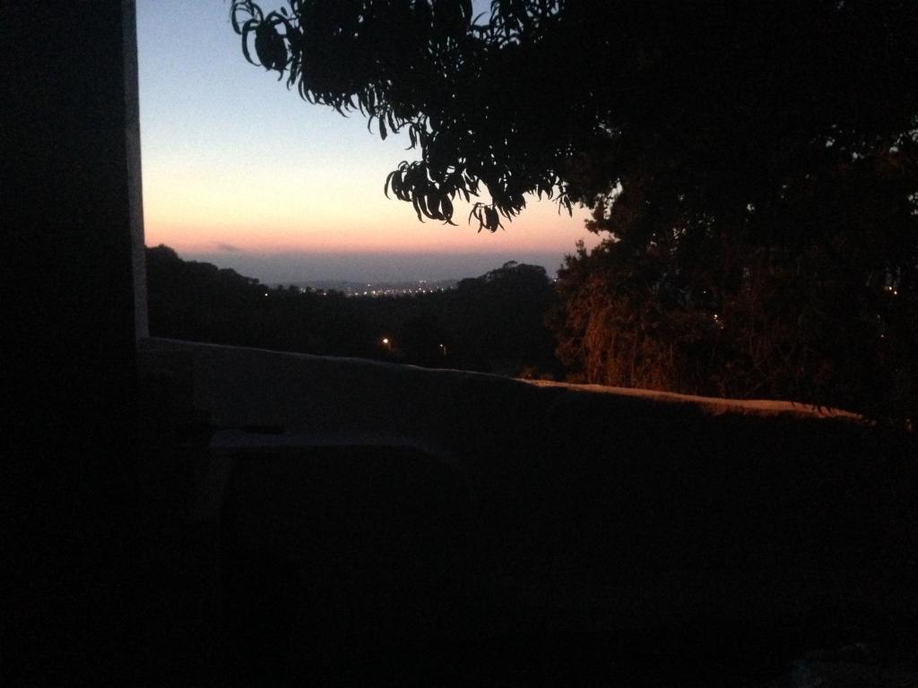 a view of a sunset from a window with a tree at Casas do Patio sem Cantigas 1 in Sintra