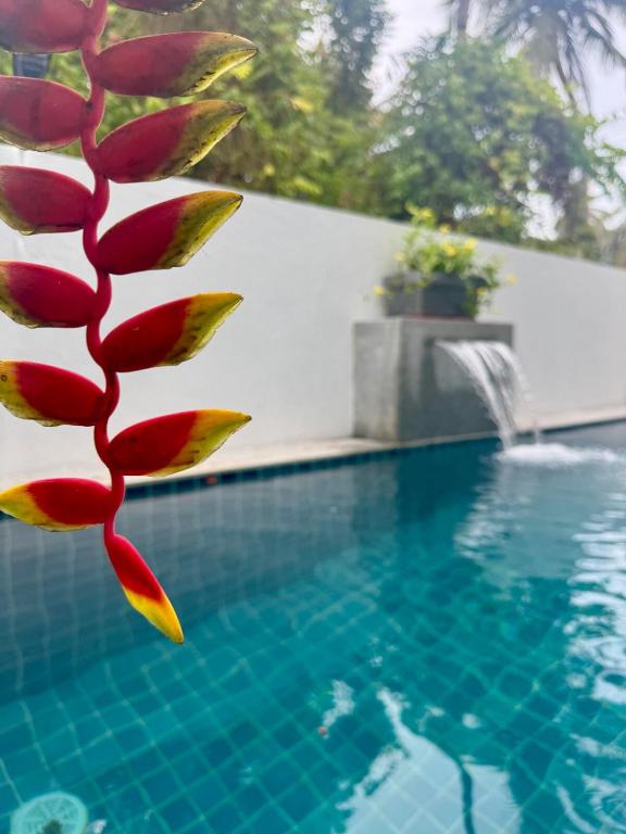 a close up of a flower next to a swimming pool at Beijo do Sol, Goa Private Pool Luxury Villa in Jāmb