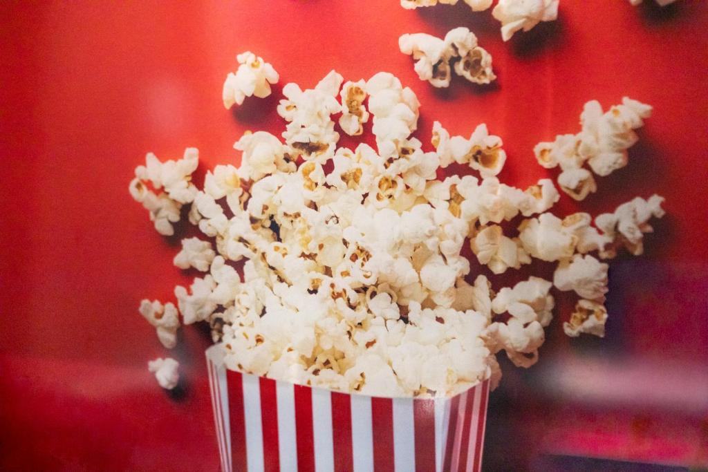 Hollywood Night-Jacuzzi & Private Movie Theater – photo 19