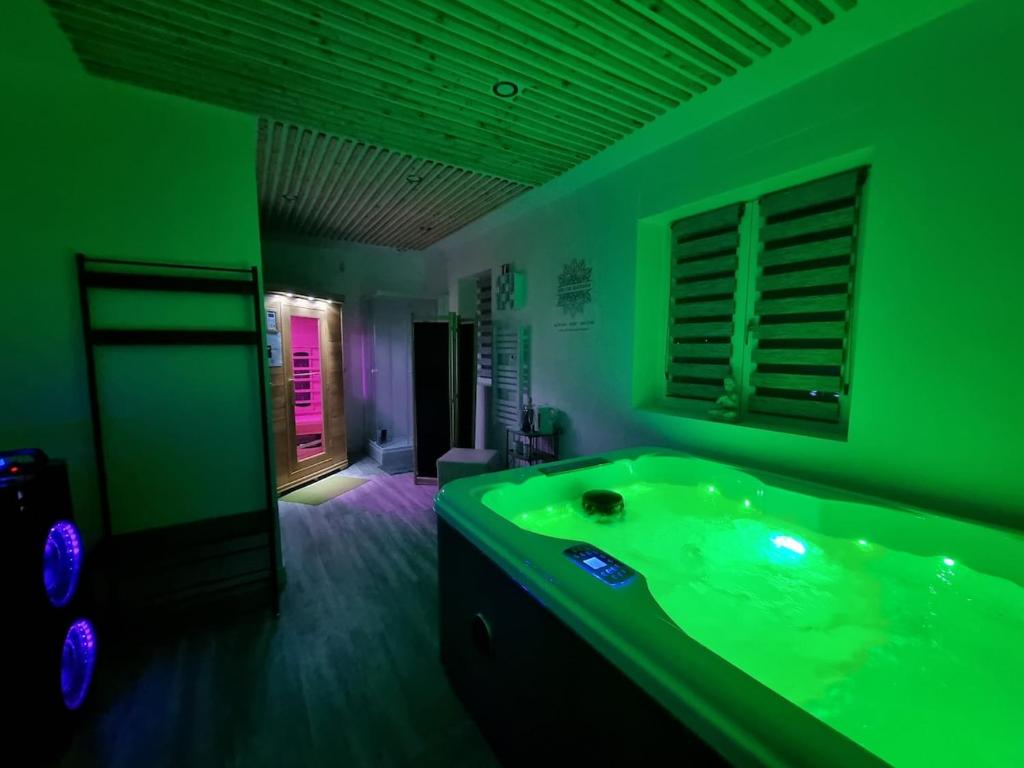 a green bathroom with a tub in a green room at Évasion Relaxante 4 personnes Spa, sauna et calme 
