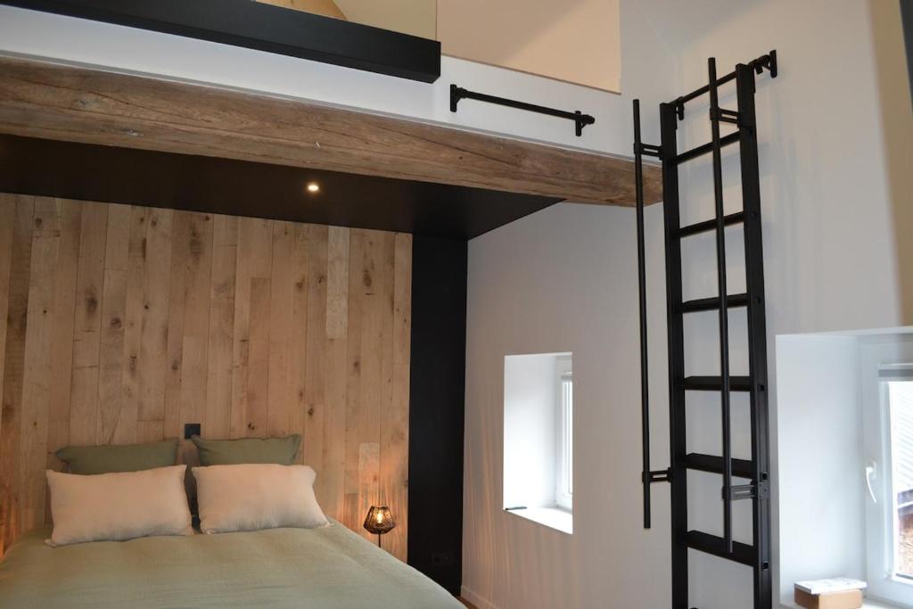 a bedroom with a loft bed with a ladder at Maison au coeur du village in Aubel