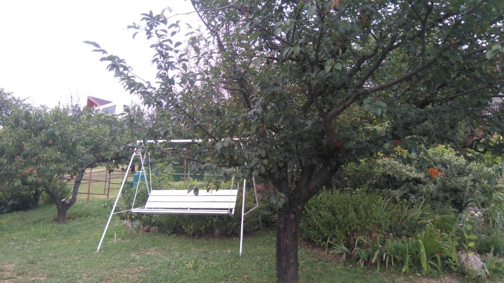 Zahrada ubytování Bertalan Apartman